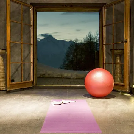 Chalé Dragon Wellness & Luxury 12 Pers Veysonnaz