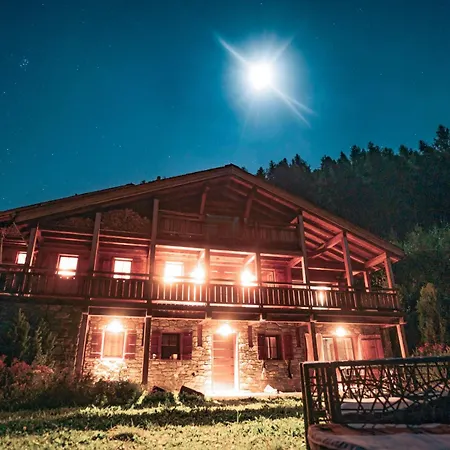Dragon Wellness & Luxury 12 Pers * Veysonnaz